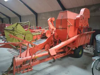 Dronningborg D 600
