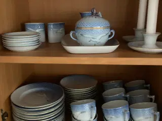 Mågestel med guldkant