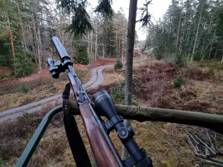 Jagtriffel CZ 550 Sælges