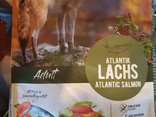 Laksefoder