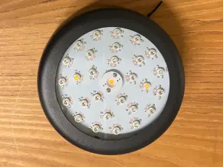 UV 62 watt vækstlys 