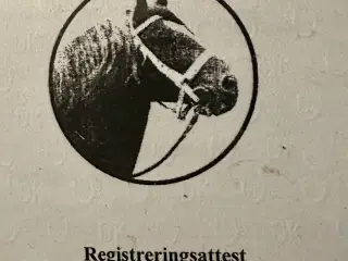 Jyske heste ( Hopper)