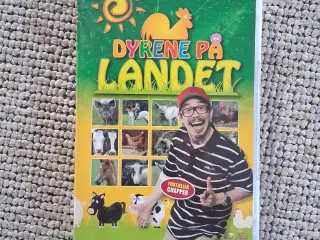 Dyrene på Landet