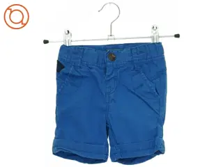 Shorts (str. 74 cm)