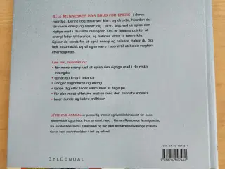 Mere energi