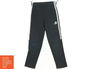 Adidas sweatpants (str. 122 cm)