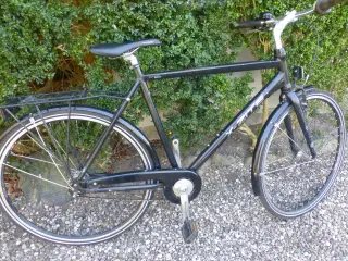 X-Zite Street Stel 58 7 Gear