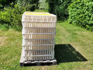 FJERKRÆ TRANSPORT KASSER