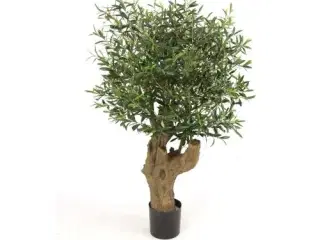 Oliventræ 140 cm