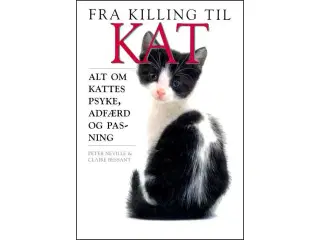 Fra Killing til Kat
