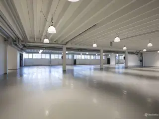 1501-24: Roholmsvej 14C, st., 2620 Albertslund - 1248 m2