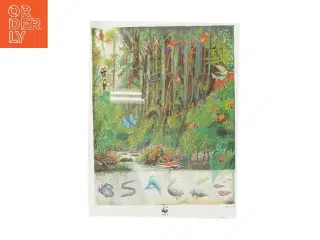 WWF plakat med regnskovsmotiv fra WWF (str. 50x70 cm)