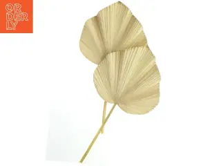 Tørrede palmeblade (str. Længde. 63 cm bredde. 34 cm)