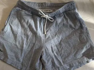 Lacoste shorts