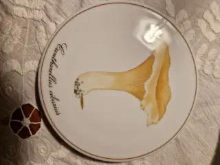 Platte