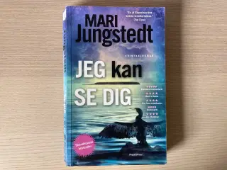 Jeg kan se dig - Mari Jungstedt