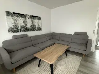 Grå Sofa