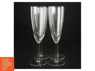 Champagneglas (str. 21,5 cm)