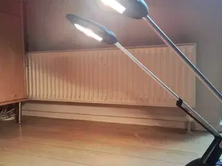 2 stk. Luxo bordlamper med 2 lysstyrker, grå