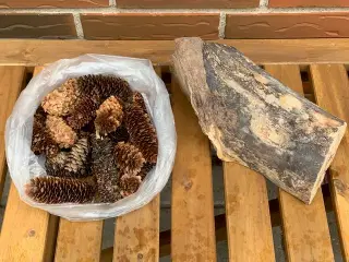 Kogler træstub - urtepotteskjuler - naturkogle m.m