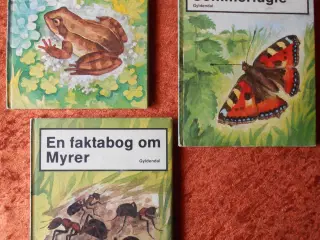 En faktabog om sommerfugle m.fl, Gun Björk