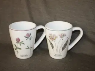 Botanic Vintage collection 2 krus