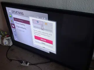 LG 50 tommer