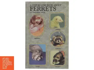 A step-by-step book about ferrets (Bog)