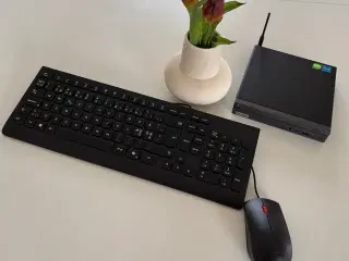 Lenovo ThinkCentre neo50q Tiny