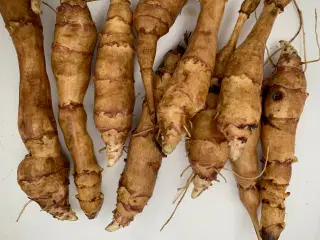 Jordskokker  (asparges)