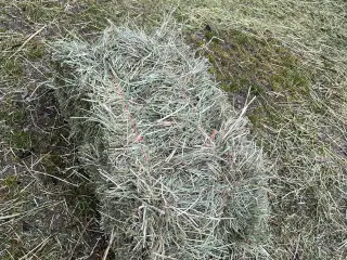 Hø småballer