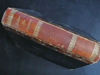 the disowned, by edward bulwer lytton genre: roman