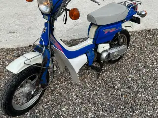 Suzuki fz50