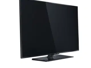 Philips-TV 100 Hz Perfect Motion Rate