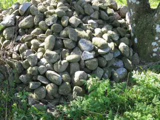 Marksten/brugte fliser/"8 taller"  gratis 