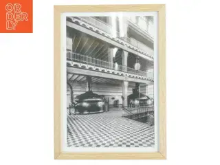 Indrammet sort-hvid fotografi fra Nielsen (str. 21x29,7 cm)