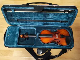 Violin 3/4 Primavera 200