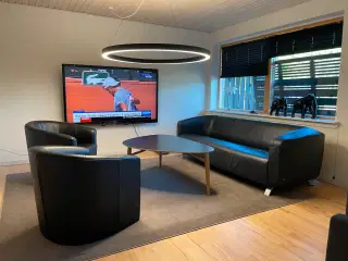 Rolf Benz lædersofa (af høj møbel kvalitet)