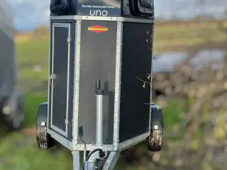 Hestetrailer (1 hest) Døgn