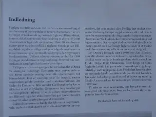 Fuglene ved Blåvandshuk  :