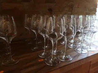 10 stk. vinglas STÖLZLE