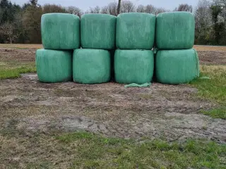Wrap til heste
