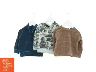 Sweatshirt (3 stk.) (str. 74 cm)