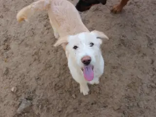 Vidunderlige DJ leder efter sin 4-ever familie🏡💞