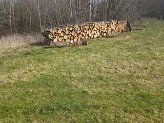 Birkebrænde savet I meterstykker.