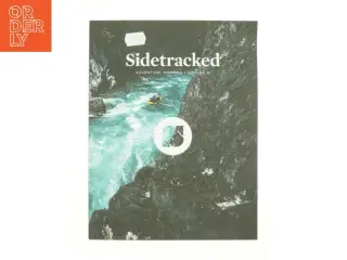 Sidetracked (Bog)