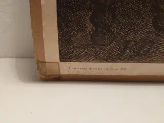 G.Vilhelm.Blom: Papirlitografi på pap. År 1898