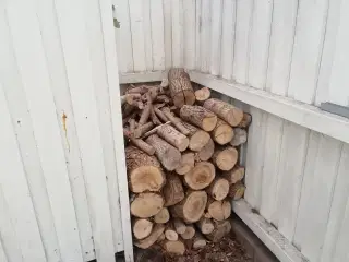 Brænde løv 