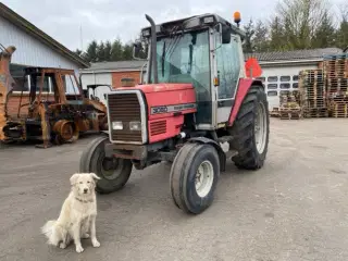 Massey Ferguson 3060 (Brandskadet) Export