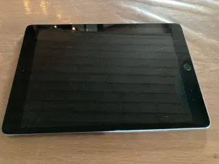 iPad 8